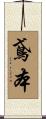 鳶本 Scroll