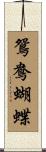 鴛鴦蝴蝶 Scroll