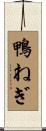 鴨ねぎ Scroll