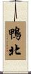 鴨北 Scroll