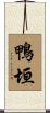 鴨垣 Scroll