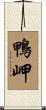 鴨岬 Scroll