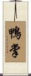 鴨掌 Scroll