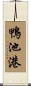 鴨池港 Scroll