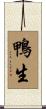 鴨生 Scroll