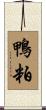 鴨粕 Scroll