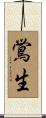 鴬生 Scroll