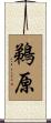鵜原 Scroll