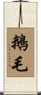 鵝毛 Scroll