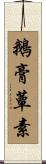 鵝膏蕈素 Scroll