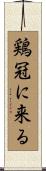鶏冠に来る Scroll