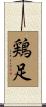 鶏足 Scroll