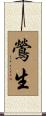 鶯生 Scroll