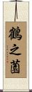 鶴之薗 Scroll