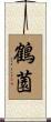 鶴薗 Scroll