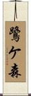 鷺ケ森 Scroll