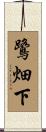 鷺畑下 Scroll