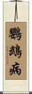 鸚鵡病 Scroll