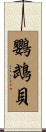 鸚鵡貝 Scroll