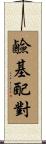 鹼基配對 Scroll