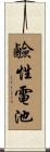 鹼性電池 Scroll