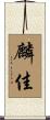 麟佳 Scroll