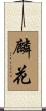 麟花 Scroll