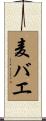 麦バエ Scroll