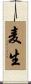 麦生 Scroll