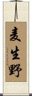 麦生野 Scroll