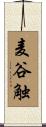 麦谷触 Scroll