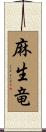 麻生竜 Scroll