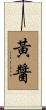 黃醬 Scroll