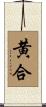 黄合 Scroll