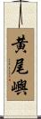 黄尾嶼 Scroll