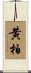 黄柏 Scroll