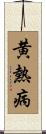 黄熱病 Scroll