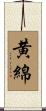 黄綿 Scroll
