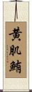 黄肌鮪 Scroll