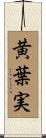 黄葉実 Scroll