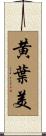 黄葉美 Scroll