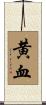 黄血 Scroll