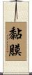 黏膜 Scroll