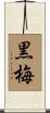 黒梅 Scroll