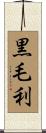 黒毛利 Scroll