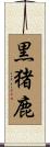 黒猪鹿 Scroll