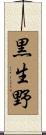 黒生野 Scroll