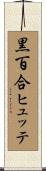 黒百合ヒュッテ Scroll