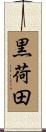 黒荷田 Scroll