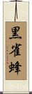 黒雀蜂 Scroll